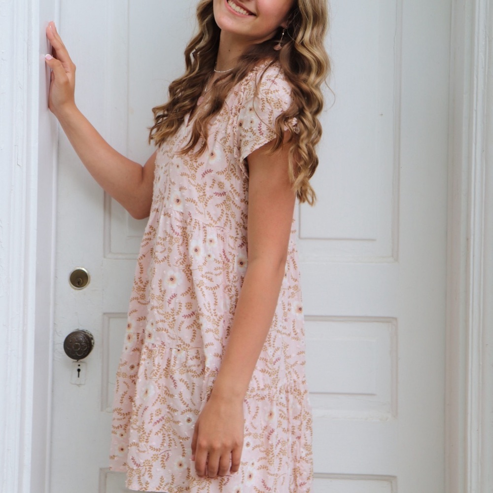 LOFT embroidered pink mini dress